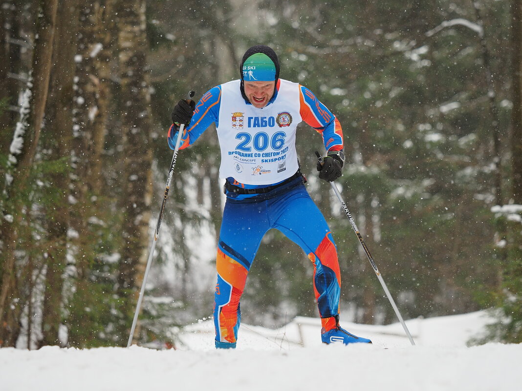 Про лыжные гонки - Евгений Седов