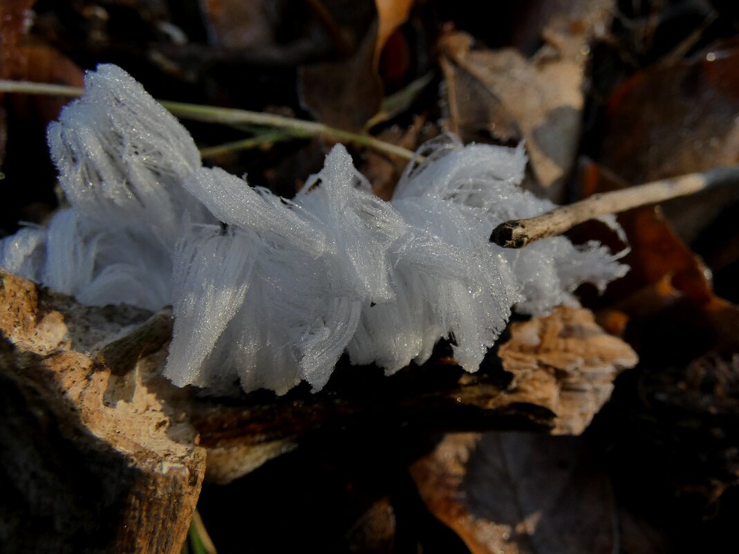 лед для волос, ледяная вата - Heinz Thorns