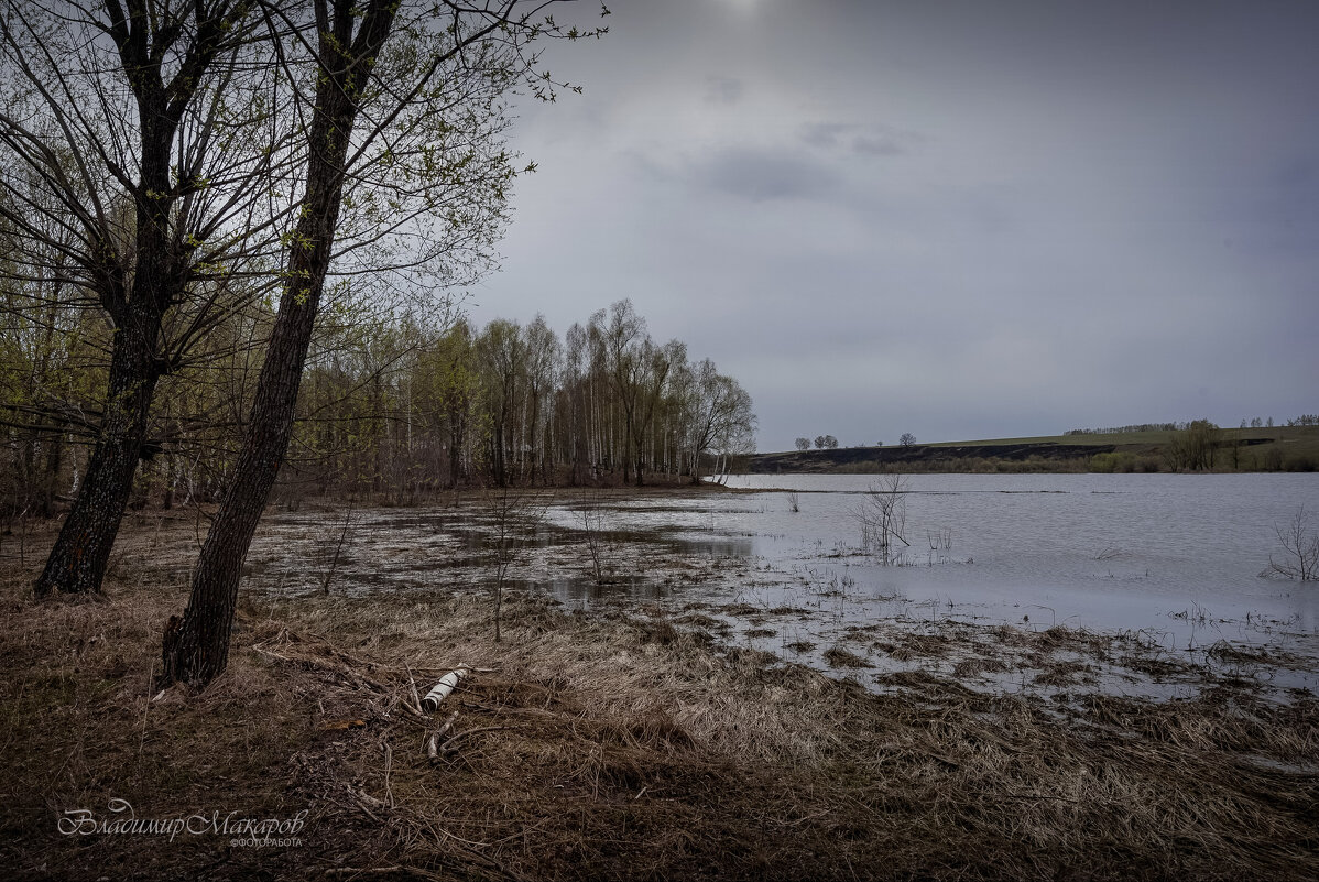 "Весеннее половодье на спаде"© - Владимир Макаров