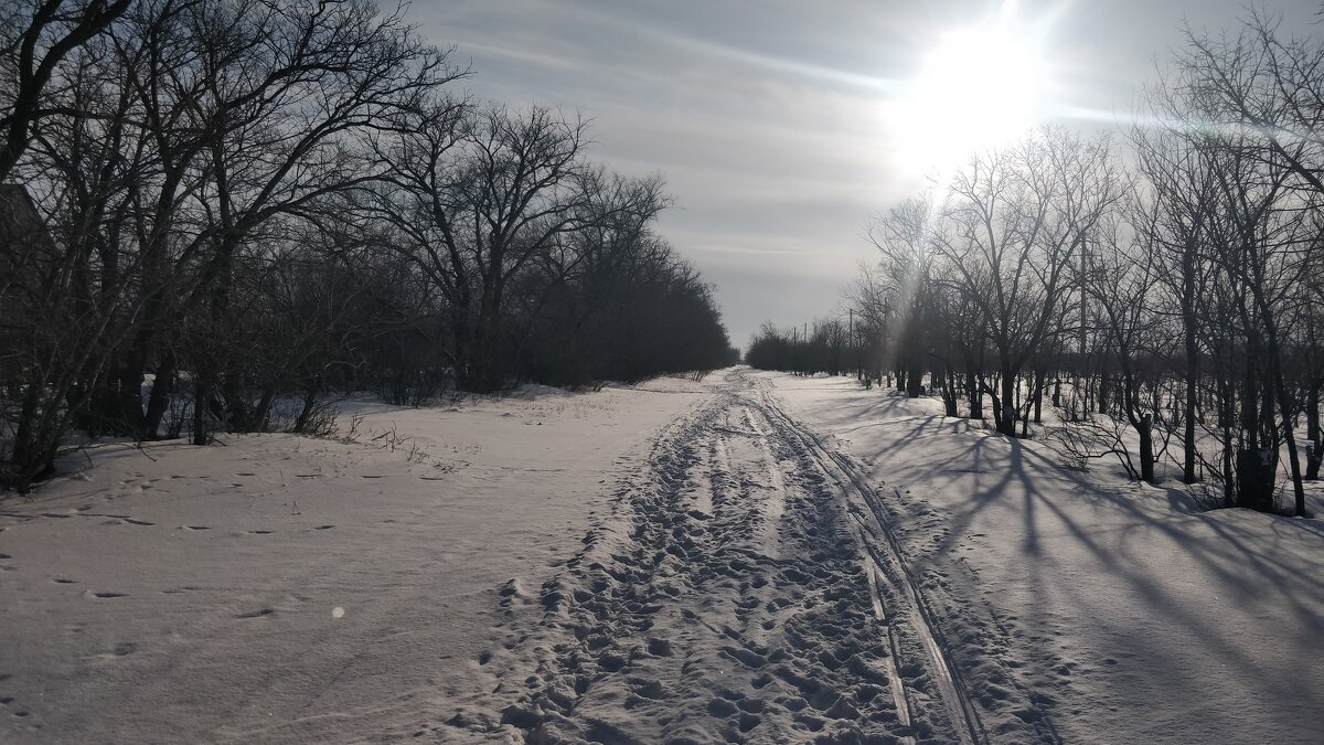 Солнечная зимняя дорога - Андрей Хлопонин