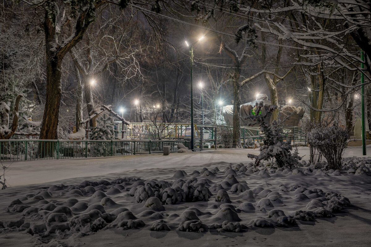 Ночной парк - Константин Бобинский