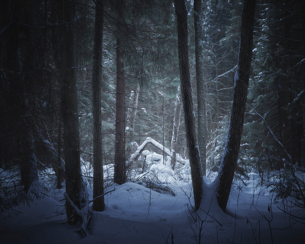 В зимнем лесу - Валерий Вождаев
