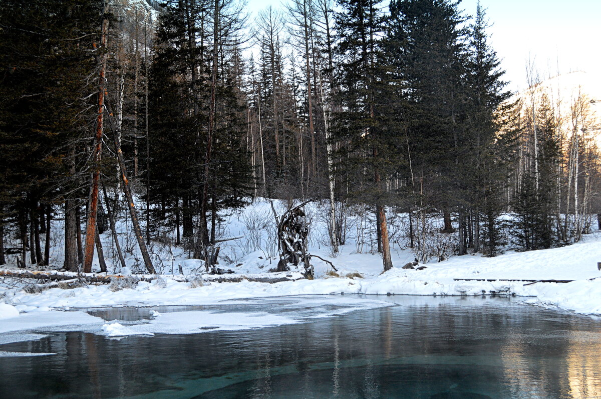 Январь на озере гейзерном - Татьяна Лютаева