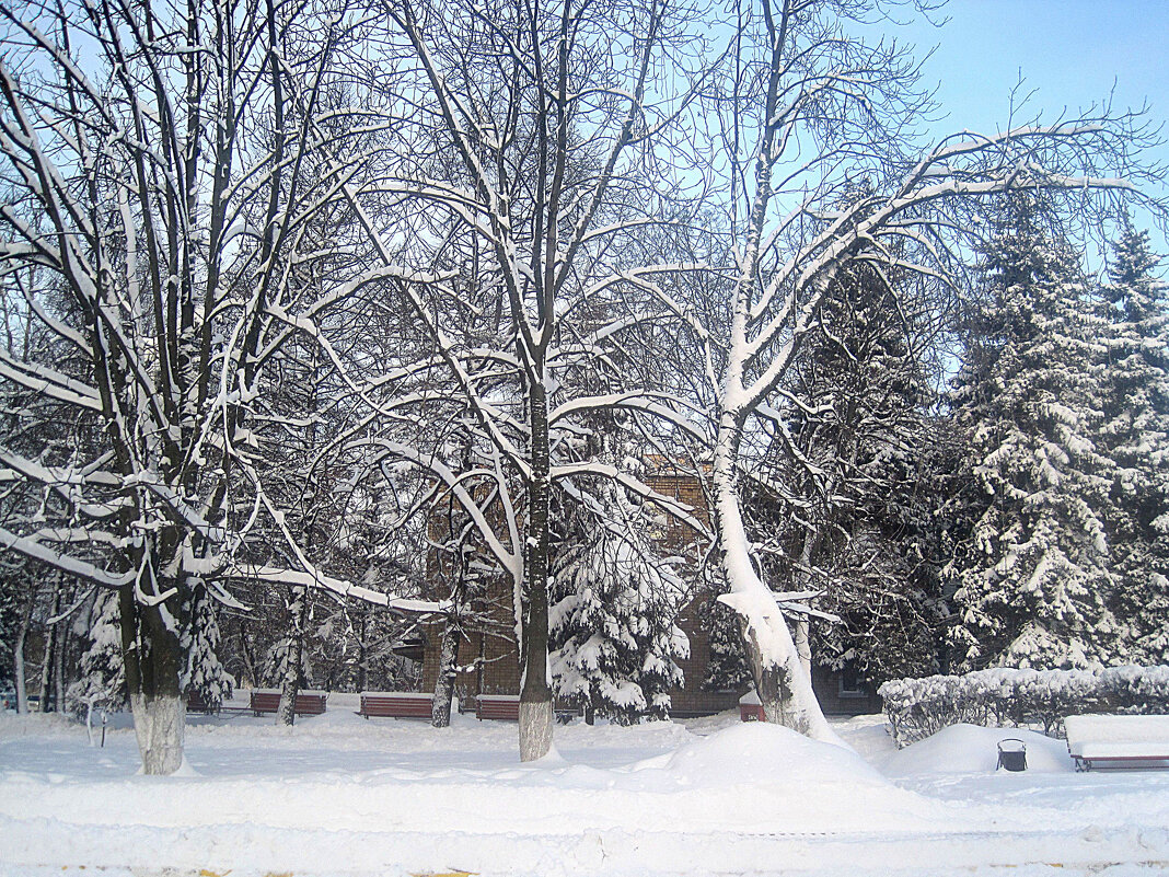 Зимним днем в городе - Елена Семигина