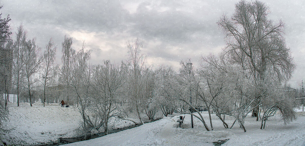 В зимнем парке - Aleksey Afonin