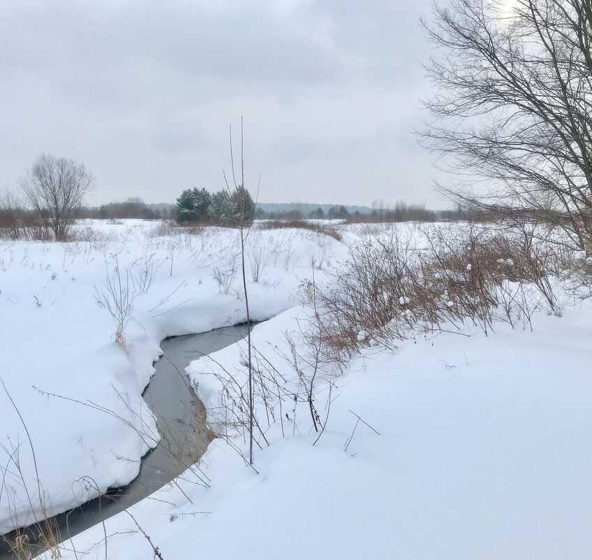 В Заречном парке - Татьяна 