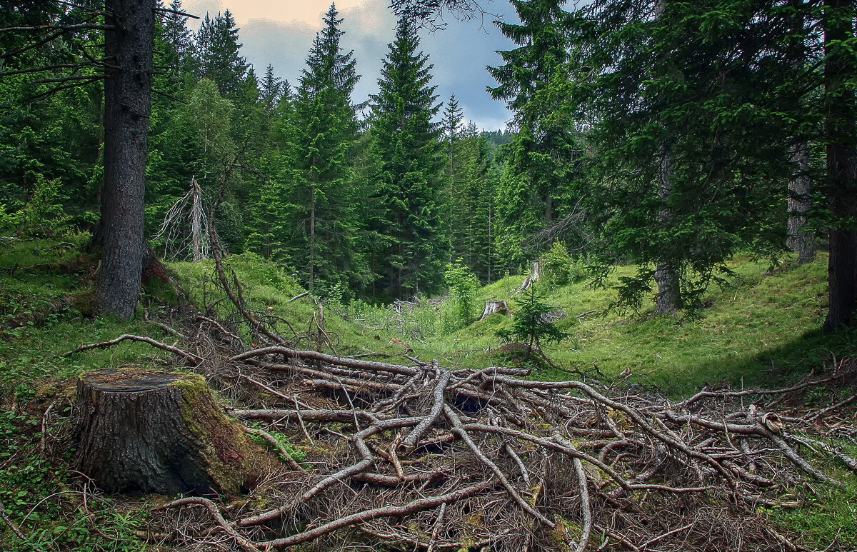 ****** - Андроник Александр 