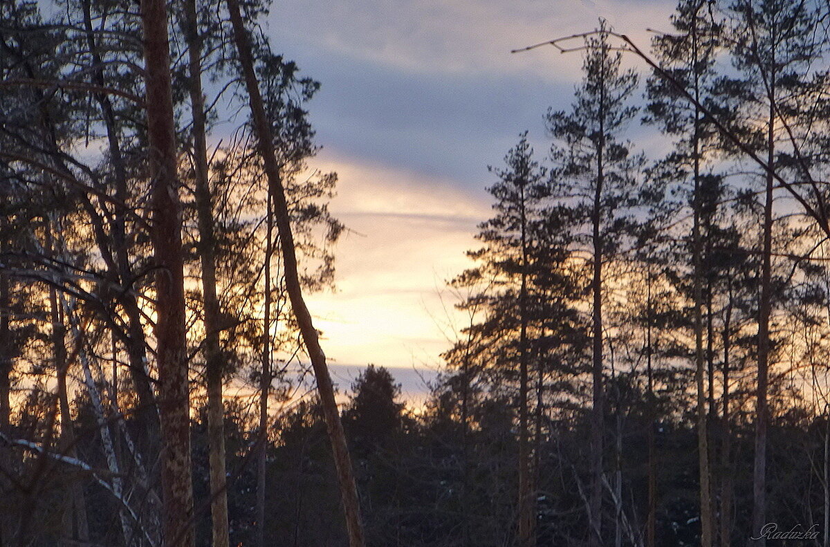 Закат в лесу - Raduzka (Надежда Веркина)