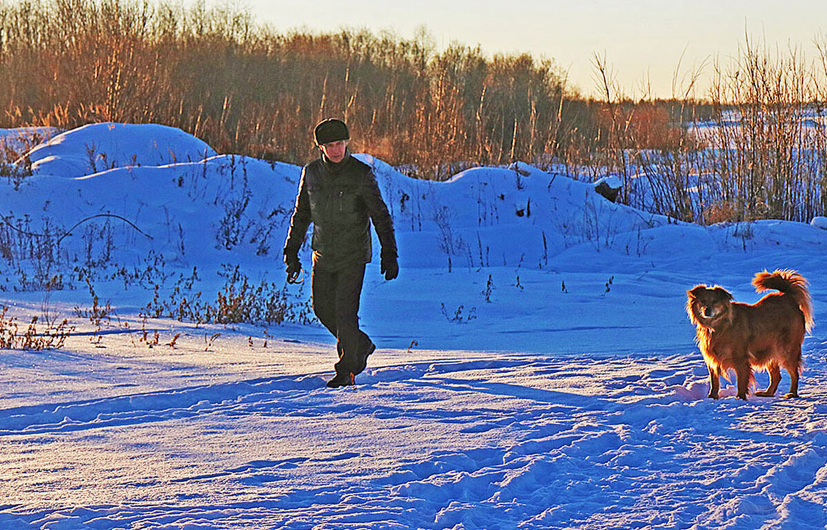 Морозное утро февраля красит нежным светом снег, пса и человека у реки! - Владимир 