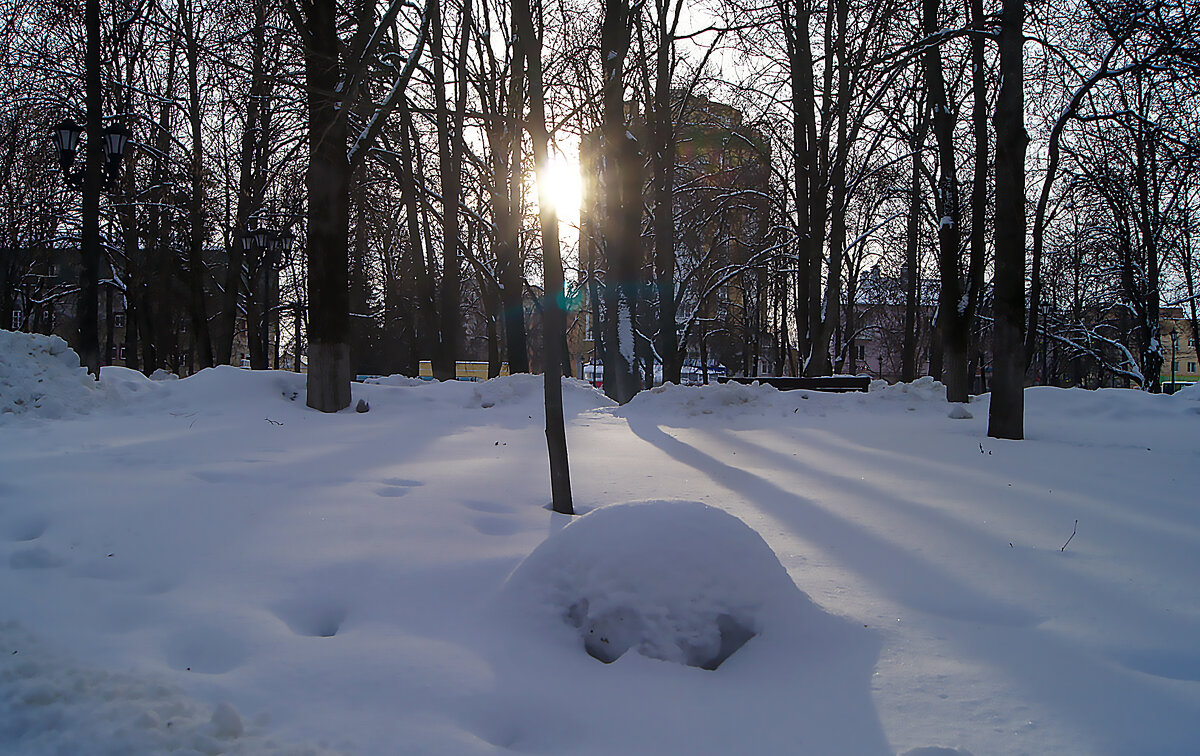 Февраль в городе - Елена Кирьянова