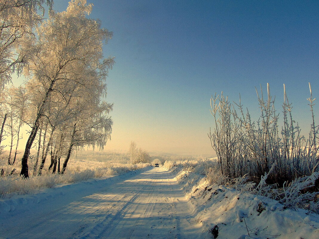 Через снежную сказку проходит дорога. - nadyasilyuk Вознюк
