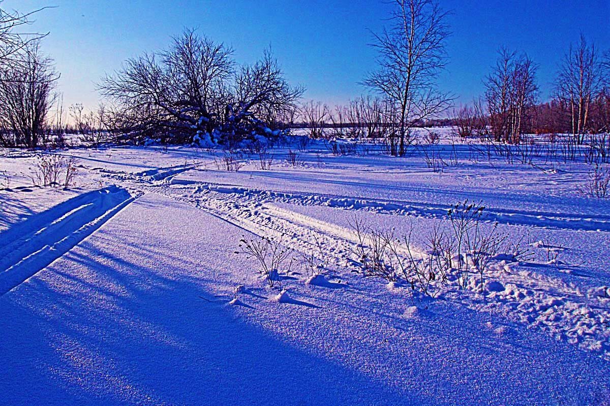 Снегоходные пути-дороги на левобережье Юганской Оби. - Владимир 