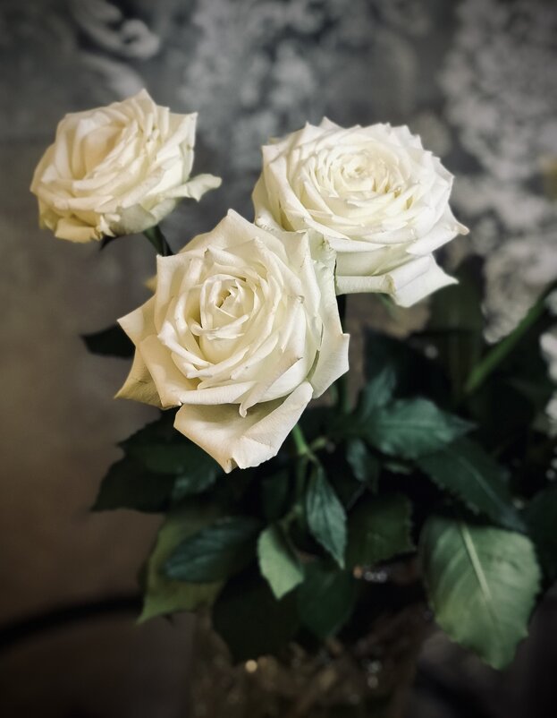 Розы в мой день…) - Любовь 