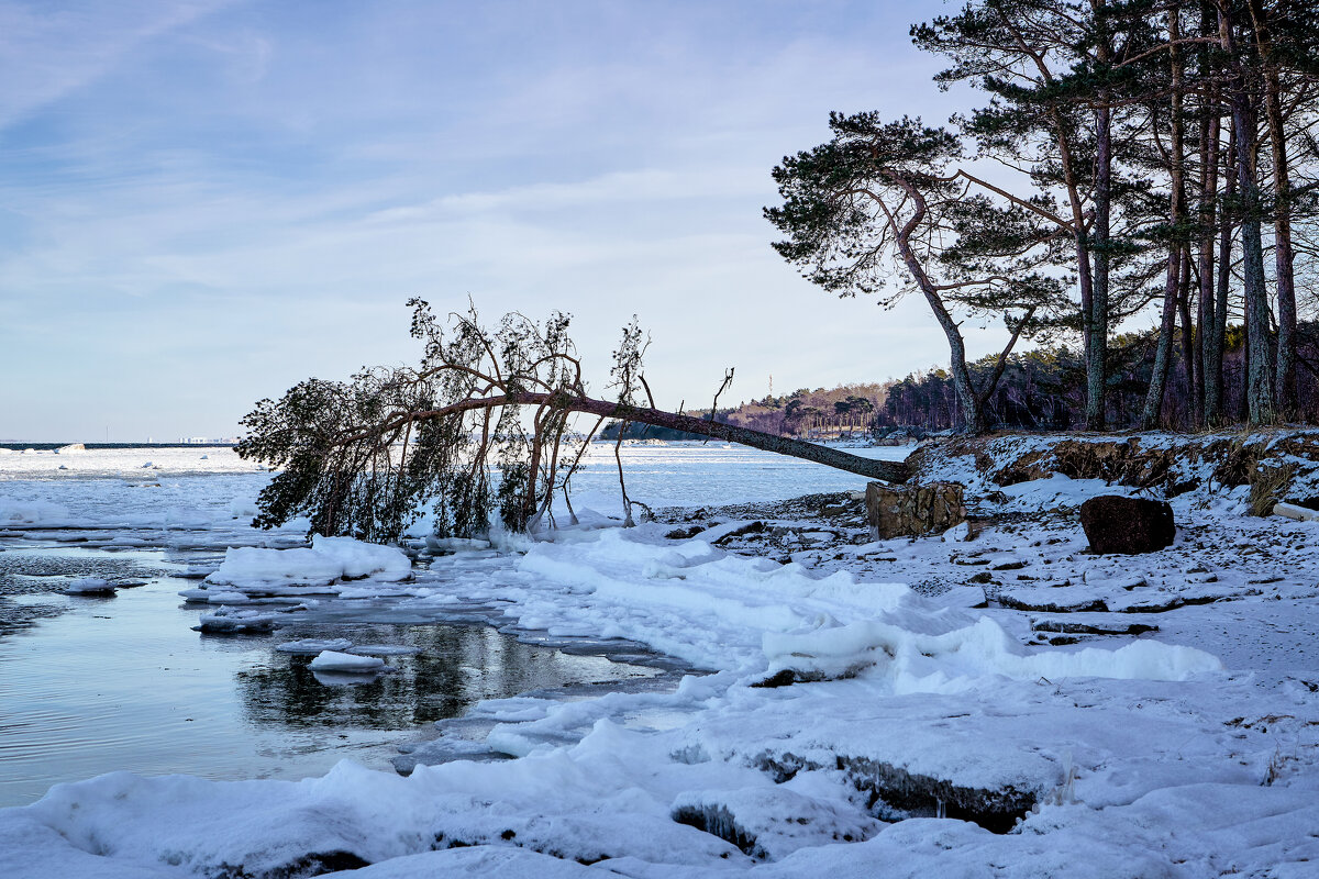 Tallinn, Fotograaf Arkadi Baranov, FEP, Estonia - Аркадий  Баранов Arkadi Baranov