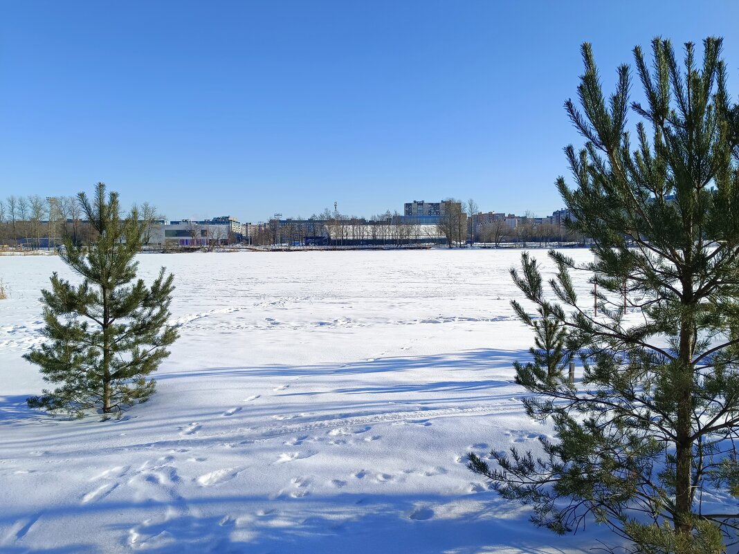 Солнечный, морозный день - Мария Васильева