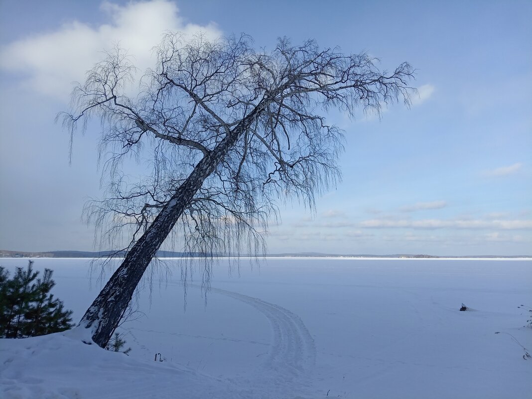 Зимний пейзаж - Анна Суханова