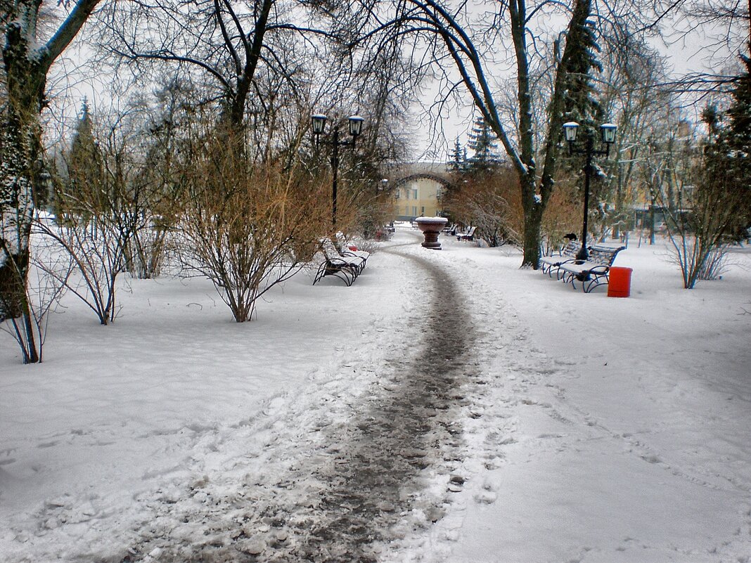 Первый снег... и это в феврале... - Роман Савоцкий