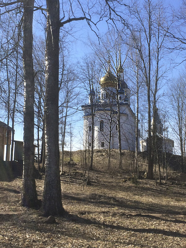 Лужский район. Череменец. Мужской монастырь - Наталья 