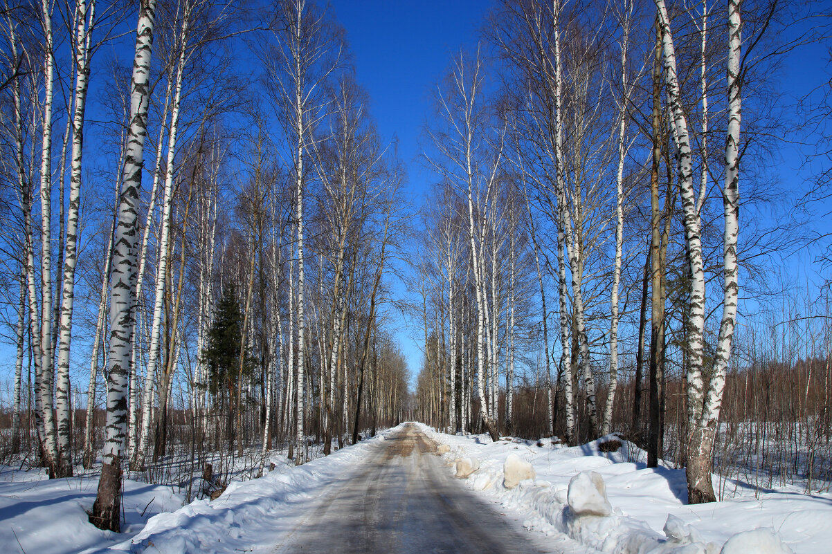 Весна - Oleg S