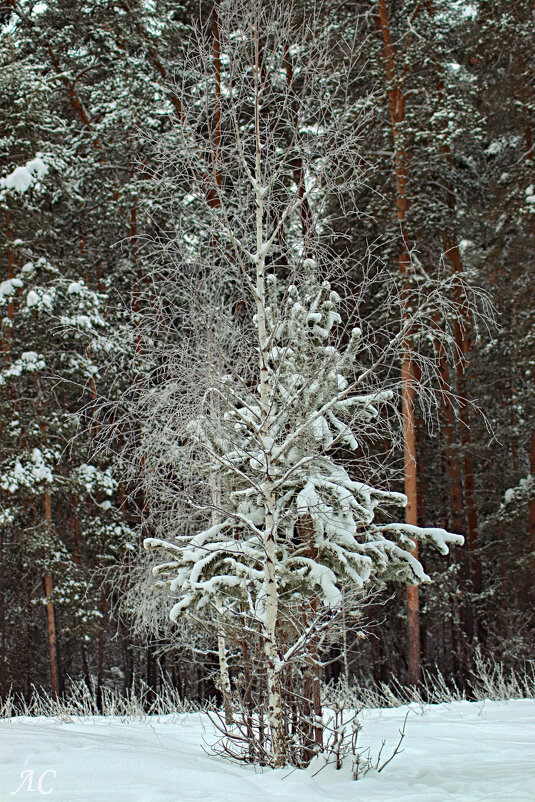 Тесная дружба - Любовь 