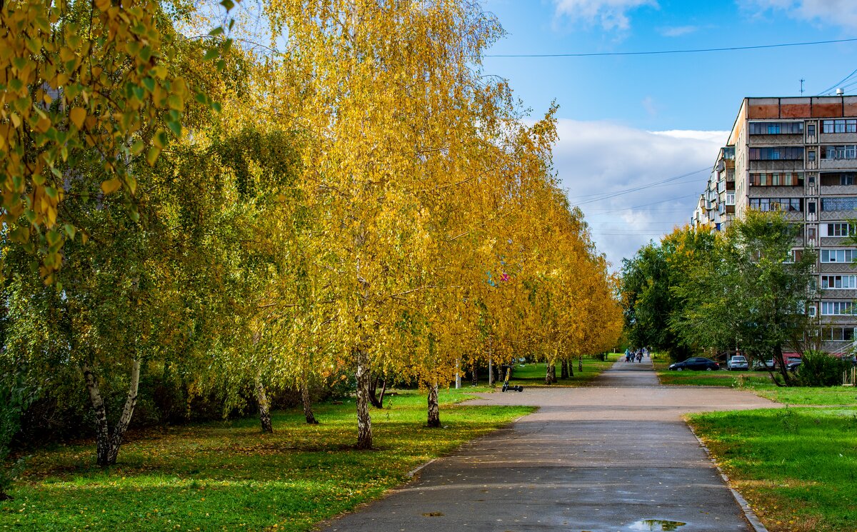 Городская осень - Петр 