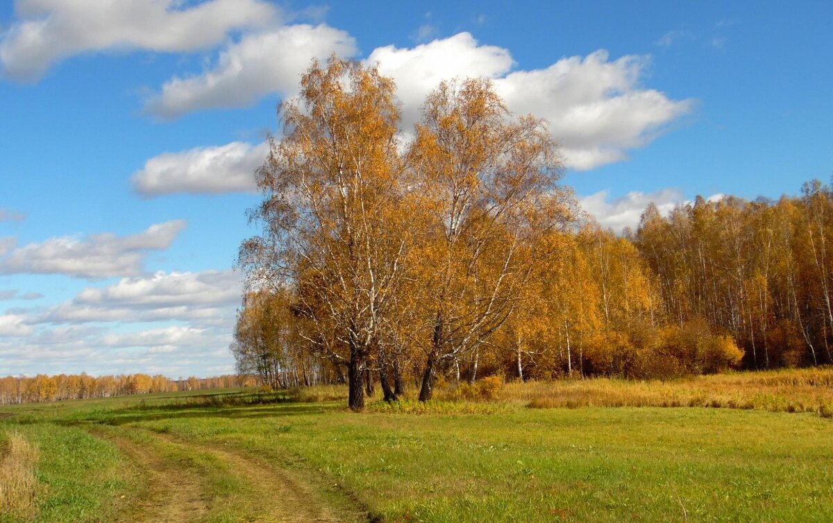 Когда осень была золотой. - nadyasilyuk Вознюк