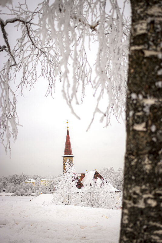 Приоратский дворец в снежном узоре - Анастасия Белякова