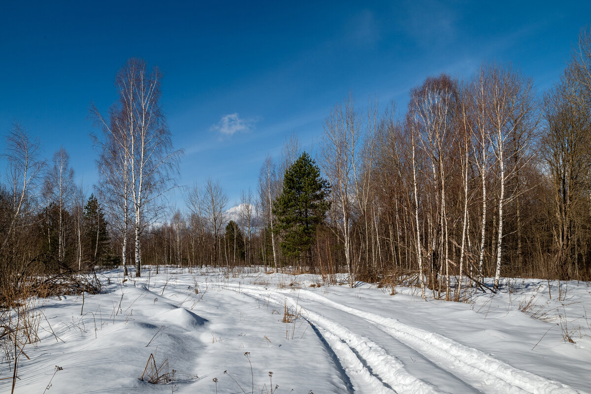 Март - Александр Орлов