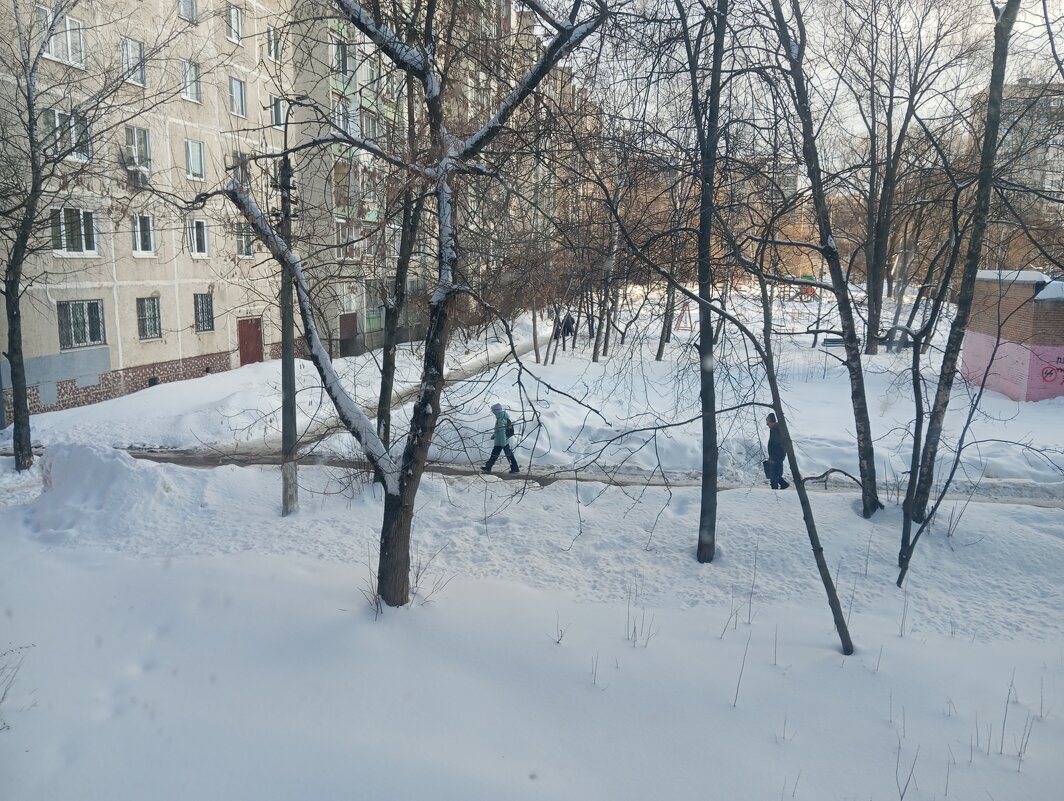 Снежный февраль - Елена Семигина