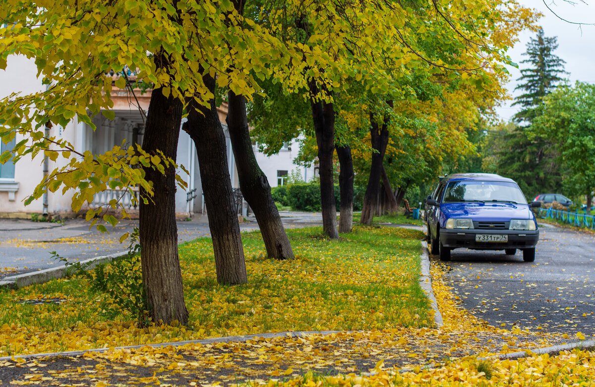 Городская осень - Петр 