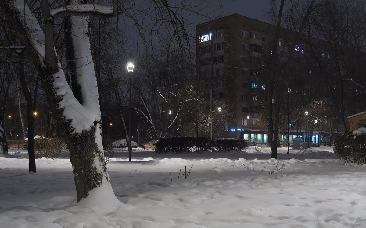 Зимний Вечер в Городе - юрий поляков