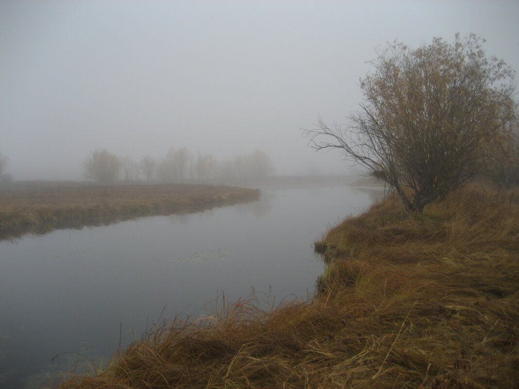 Туман, утро - Anna Ivanova