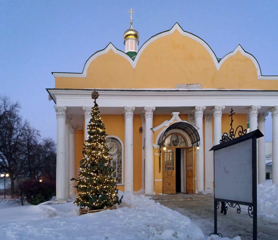 Зимний вечер в Рязанском Кремле - Galina Solovova