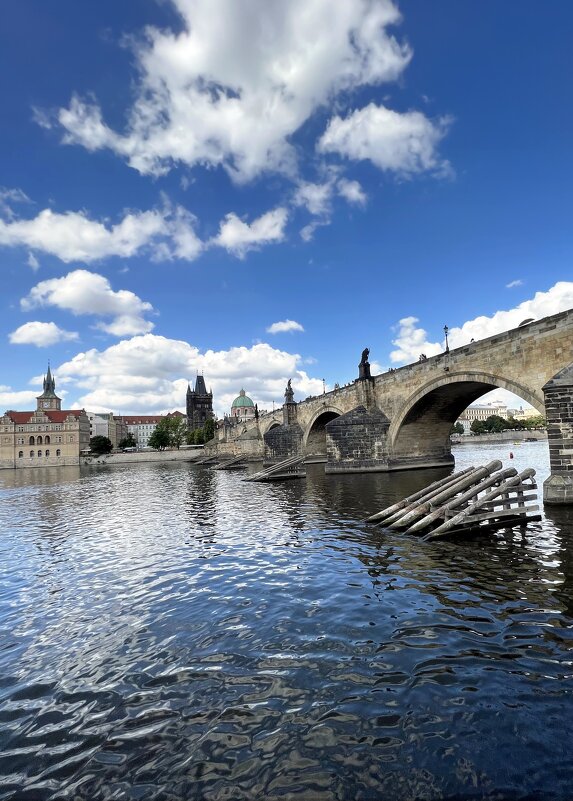 Прага–столица Чехии.The beste of Prague. - "The Natural World" Александер