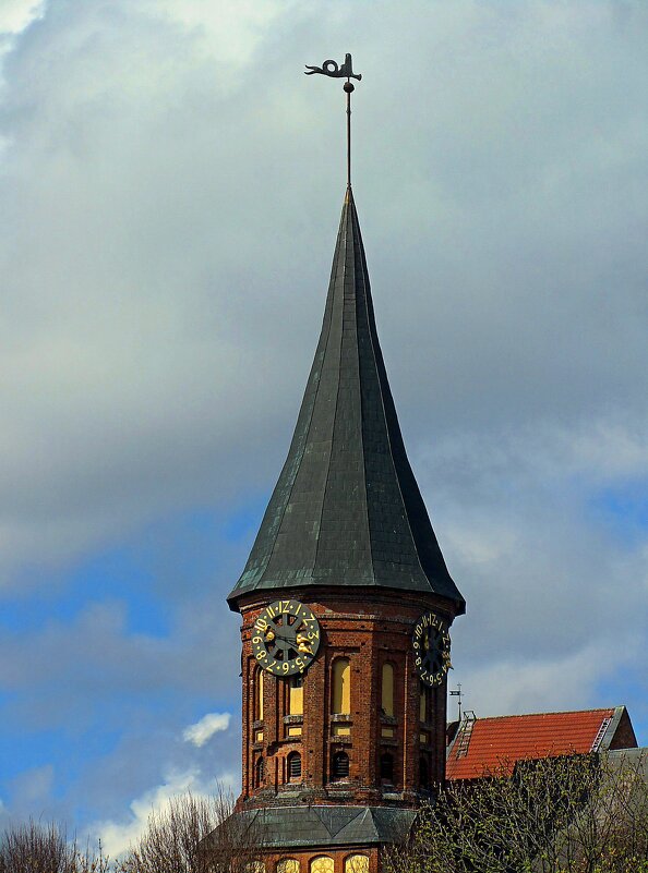 Башня Кафедрального собора - Сергей Карачин