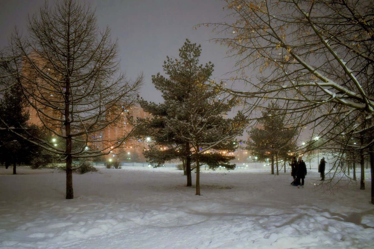 Зимний вечер в парке останется лишь в воспоминаниях и фотографиях.. - Татьяна Помогалова