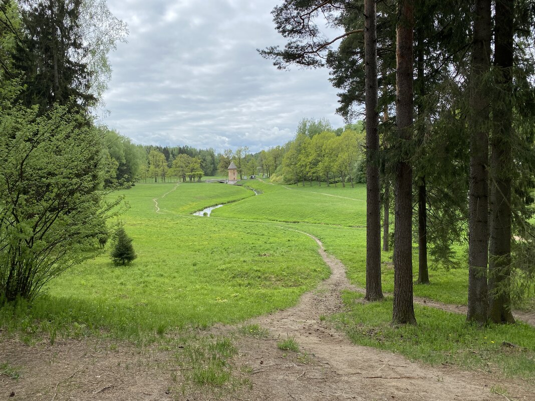 В парке весной. - Татьяна Ф *