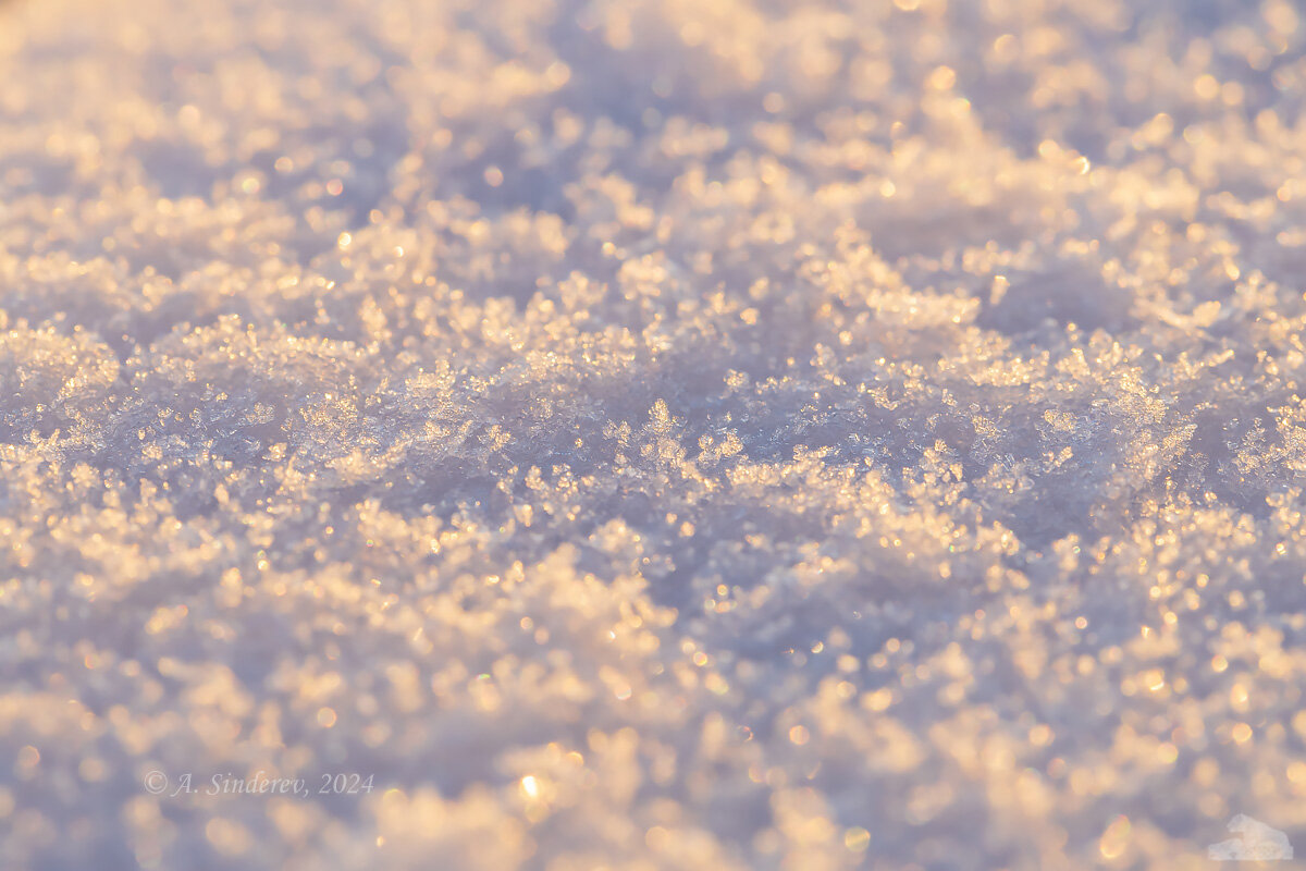 Снег на рассвете 2 - Александр Синдерёв