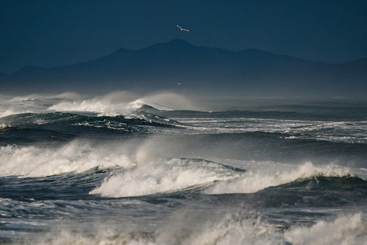 Волны на Халактырском пляже - Антон Уницын