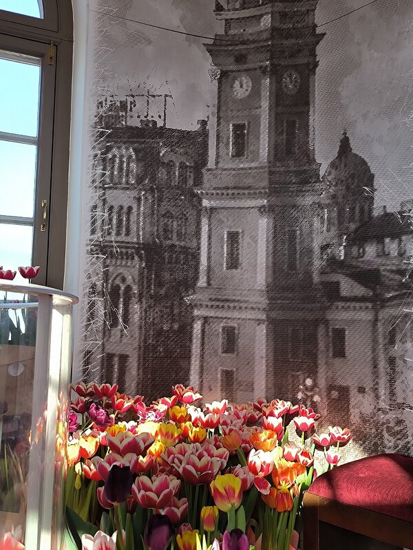 Тюльпаны в Думской башне. - Ольга 