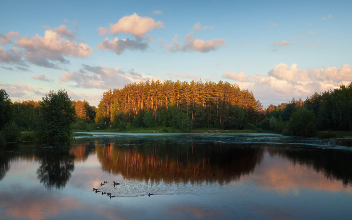 Закат на лесном озере - Валерий Вождаев