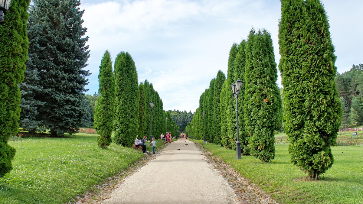 Кисловодск - Павел Трунцев