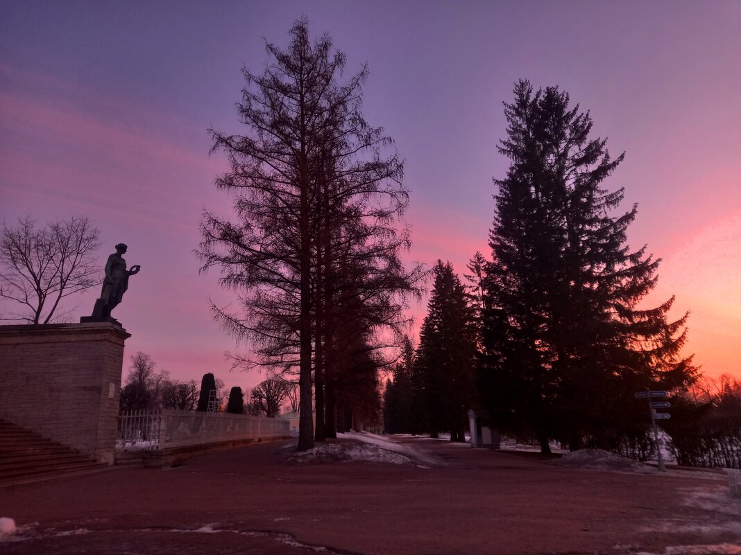 Рассвет - Сапсан 