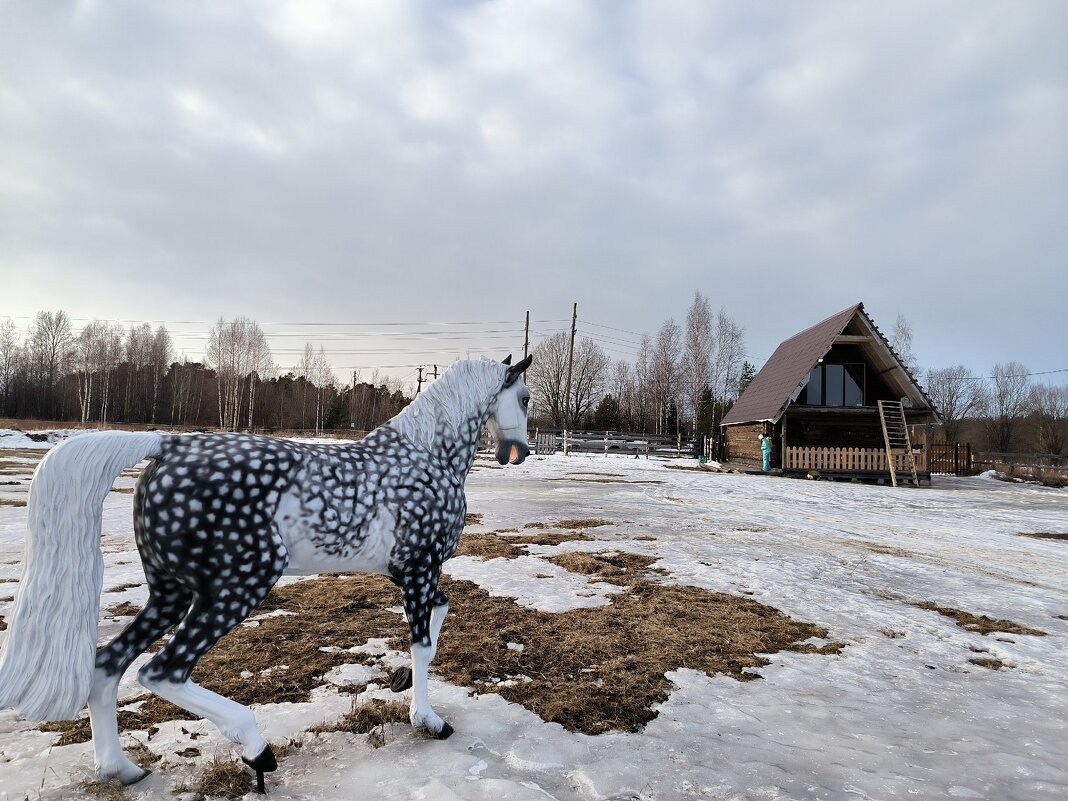 Кони в яблоках, кони серые... - Ольга 