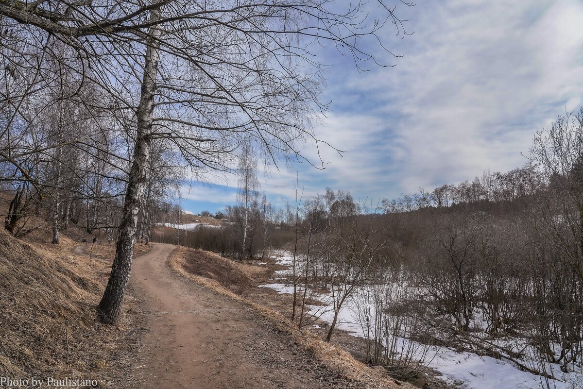 Палитра марта... - Владимир Жданов