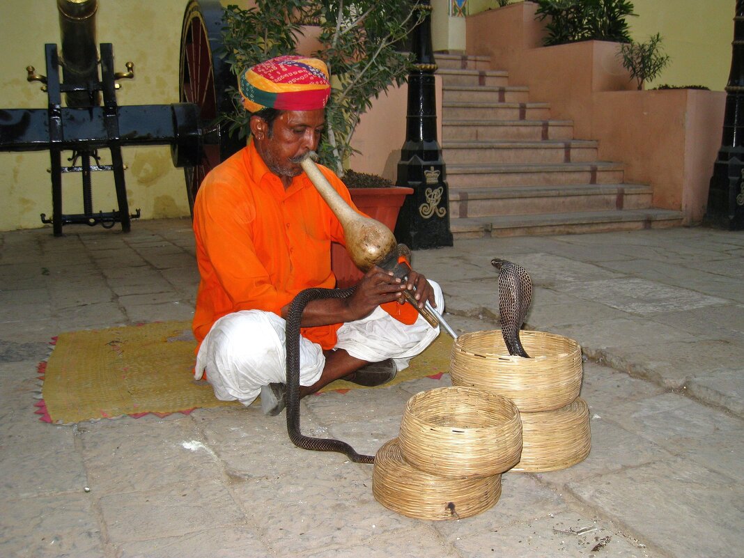 Заклинатель змей, Джайпур, Индия. - unix (Илья Утропов)