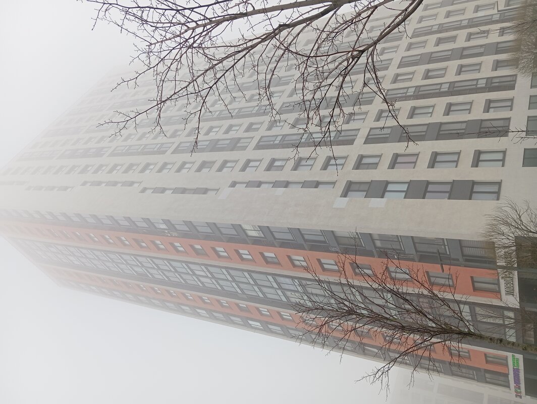 Туман  в Подмосковье - Julietta_navsegda /
