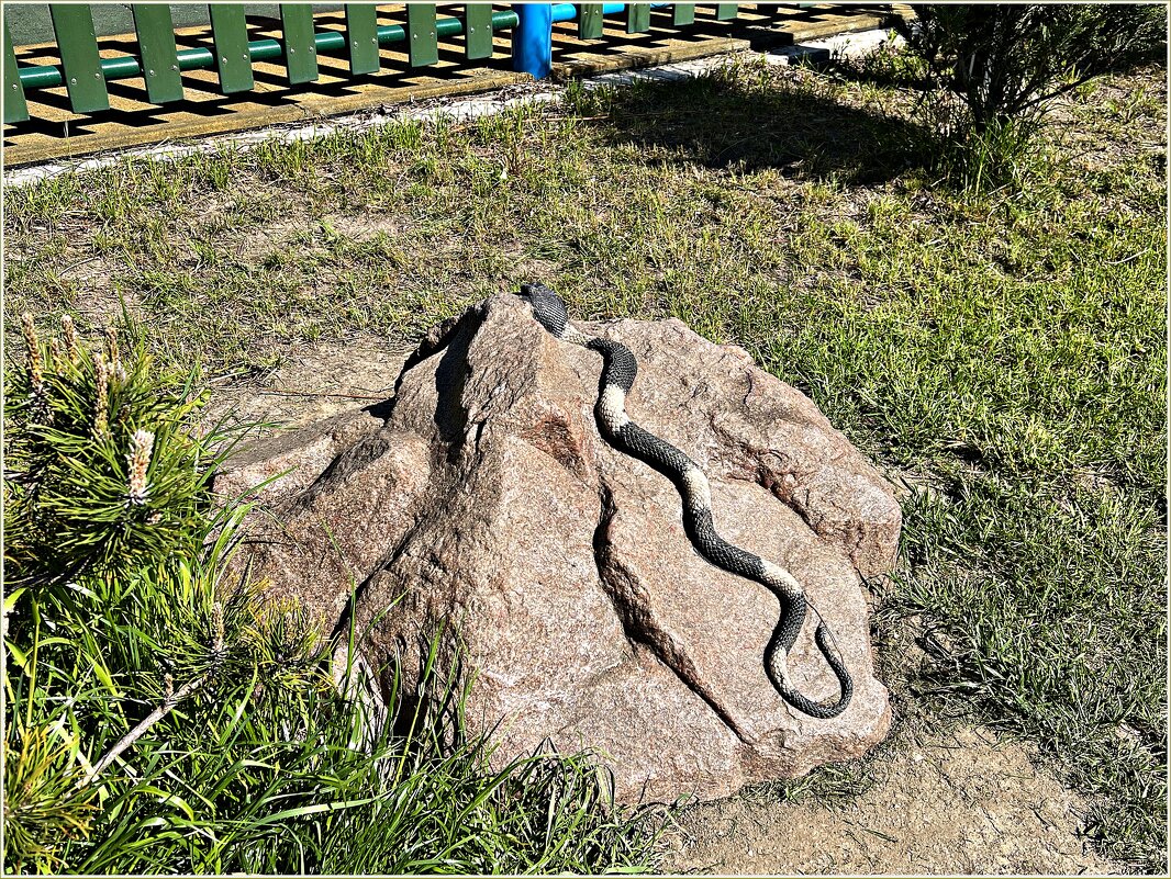 Скульптура Змейка. - Валерия Комова