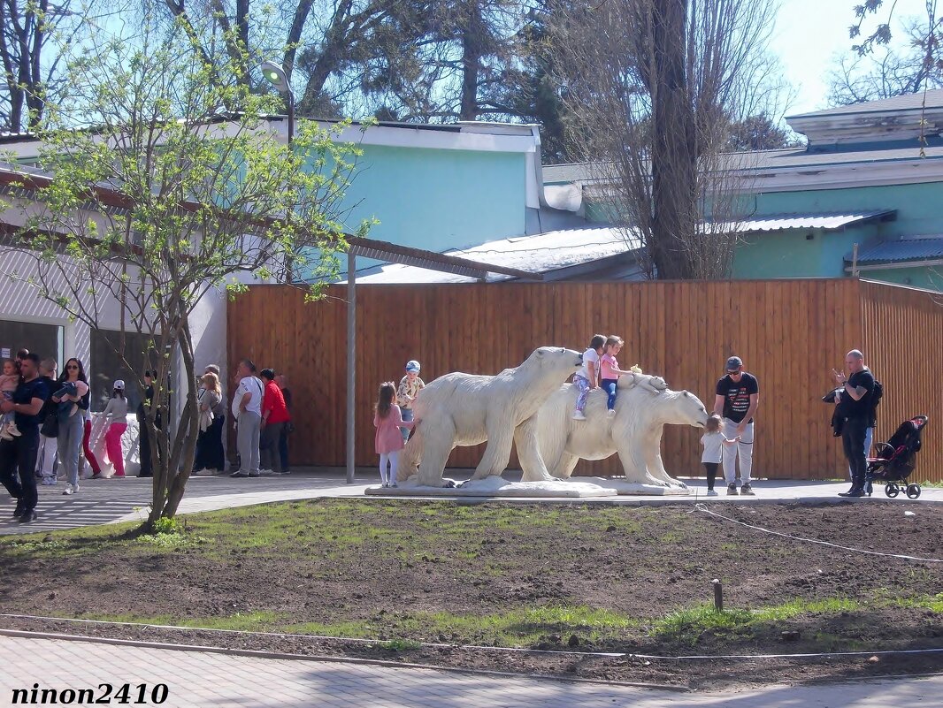 В ростовском зоопарке - Нина Бутко