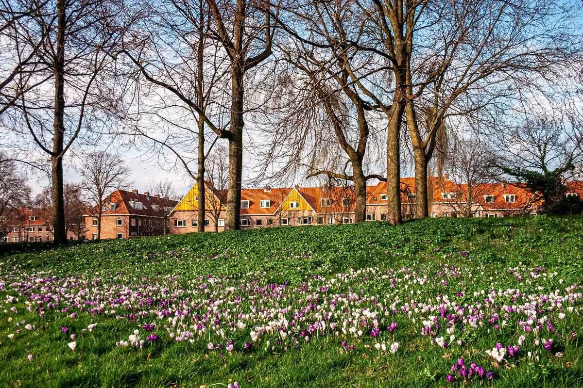 Весна в Амстердаме - Anna36 